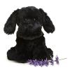 imageWarmies Black Labrador Microwavable Hot or Cold for Cool Relaxation and Warm Relief Lavender Scented Cozy Plush Animal