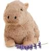 imagewarmies Microwavable amp Weighted Stuffed Animals Capybara  Heated Stuffed Animal Plushie for Warmth amp Comfort  Cute Soft Plush Toys for Adults amp Children Boys Girls Babies amp Toddlers