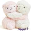 2 Count (Pack of 1)